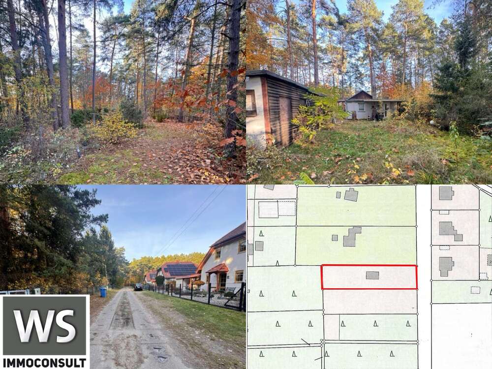 Thumbnail-Grundstück zu verkaufen in Borkwalde 199.000,00 € 1259 m²