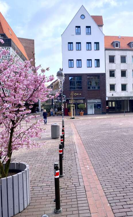 Thumbnail-Haus zum Kaufen in Hannover 3.950.000,00 € 110 m²
