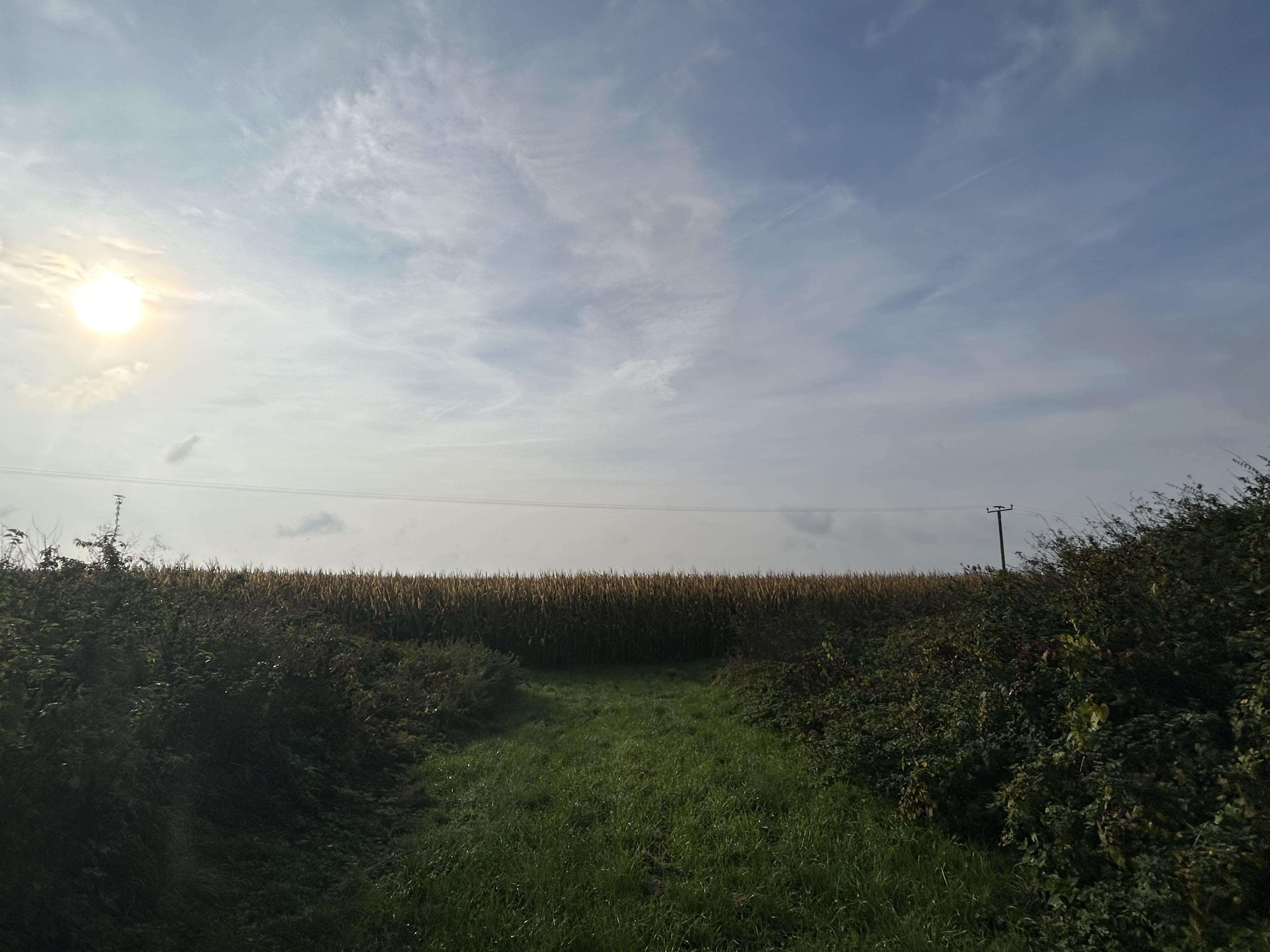 Thumbnail-Grundstück in Karlshuld 324.000,00 € 42000 m²