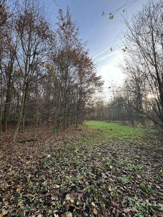 Thumbnail-Grundstück in Buxheim 149.000,00 € 14960 m²