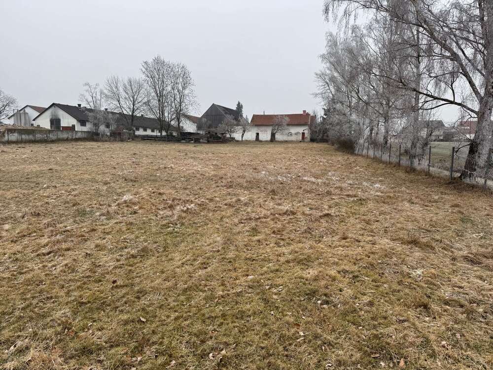 Thumbnail-Grundstück zu verkaufen in Petershausen 995.000,00 € 7500 m²