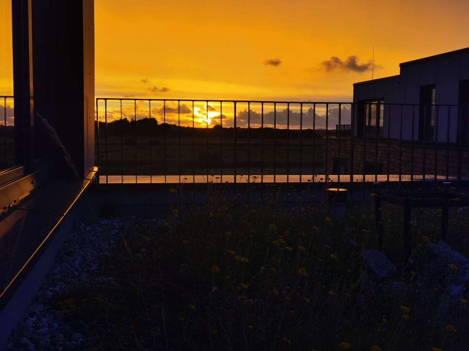 Thumbnail-Wohnung zum Mieten in Wyk auf Föhr 1.650,00 € 120 m²