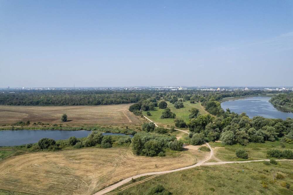 Thumbnail-Grundstück zu verkaufen in Biederitz 149.000,00 € 1572 m²