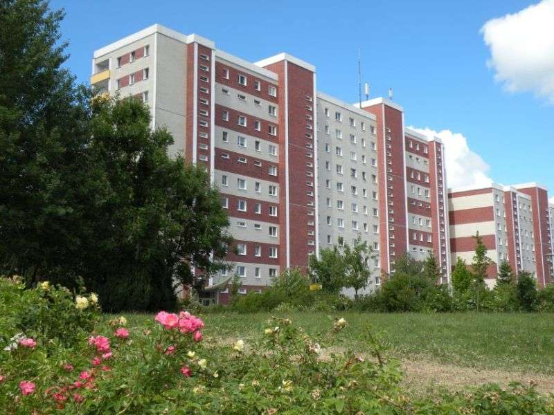 Thumbnail-Wohnung zum Mieten in Stralsund 308,76 € 51.46 m²