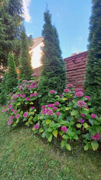 Thumbnail-Haus zum Kaufen in Mülheim an der Ruhr 675.000,00 € 200 m²