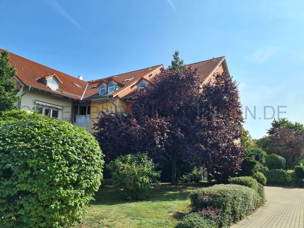 Thumbnail-Wohnung zum Mieten in Leipzig 335,00 € 35 m²