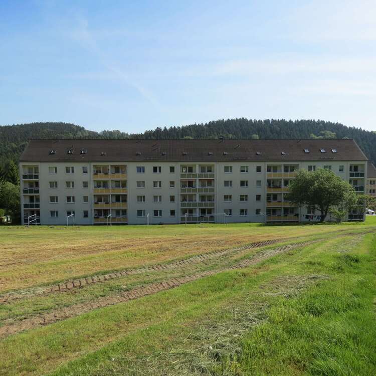 Thumbnail-Wohnung zum Mieten in Auerbach 158,00 € 35 m²