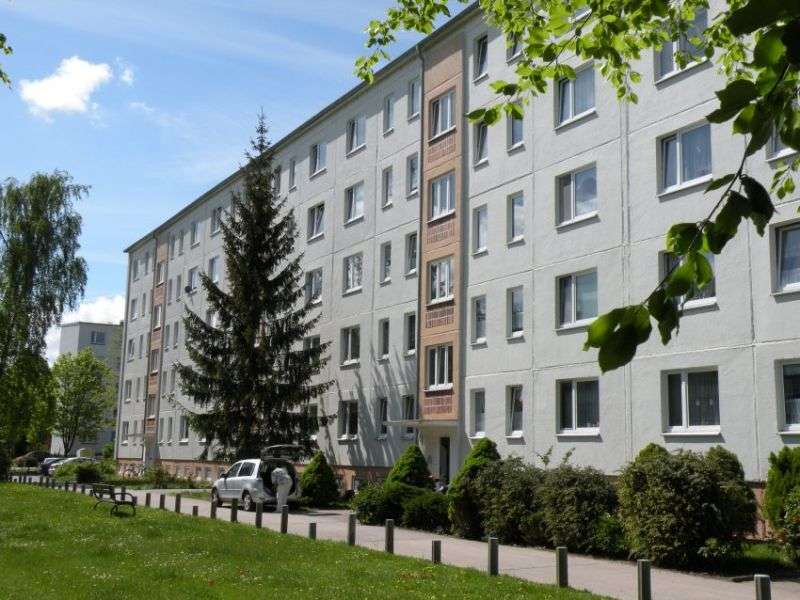 Thumbnail-Wohnung zum Mieten in Stralsund 292,94 € 43.08 m²