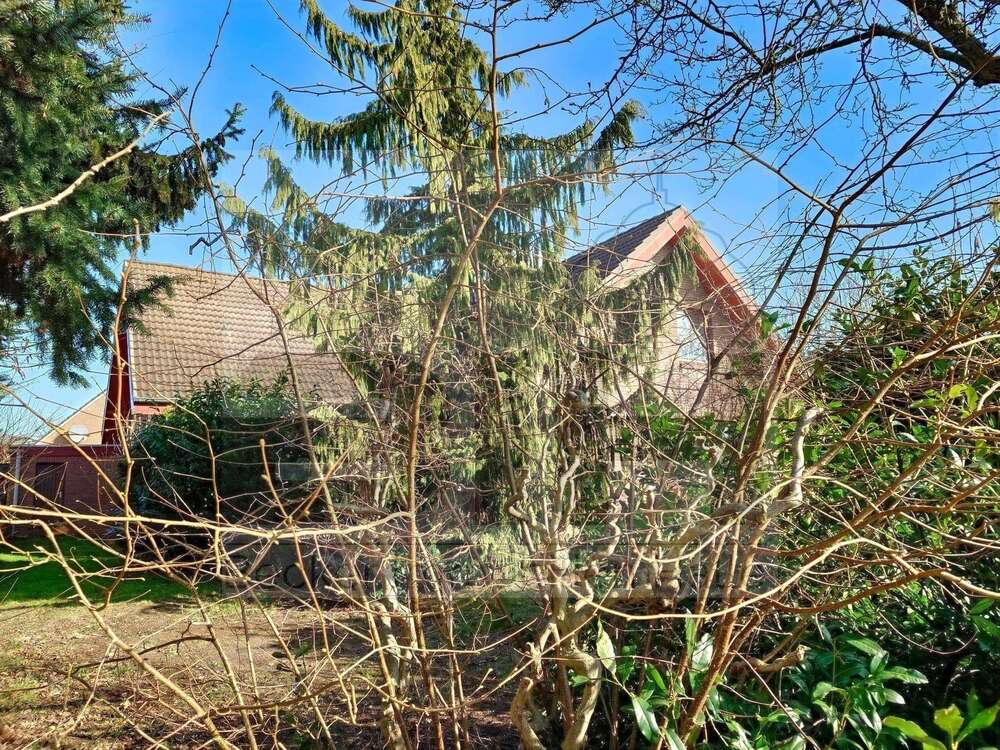 Thumbnail-Haus zum Kaufen in Ratekau 698.000,00 € 270 m²