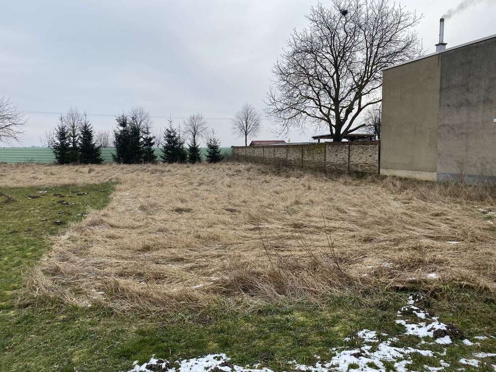 Thumbnail-Grundstück zu verkaufen in Sandersdorf-Brehna 99.000,00 € 1000 m²