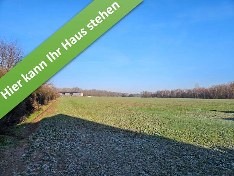 Thumbnail-Haus zum Kaufen in Velpke 408.850,00 € 133 m²