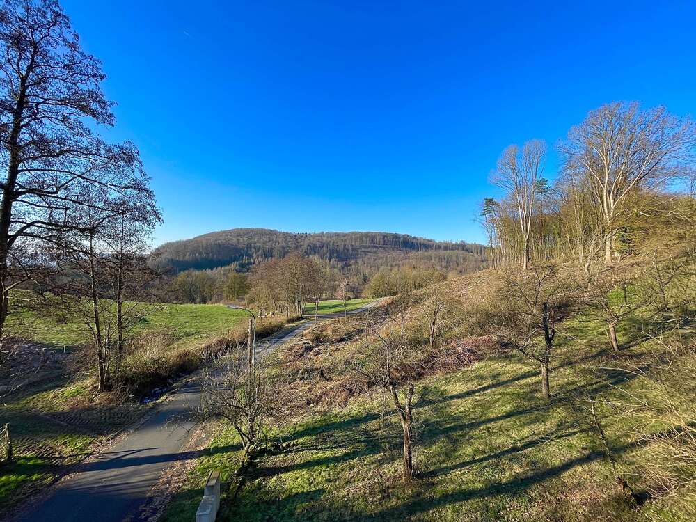 Thumbnail-Haus zum Kaufen in Bad Soden-SalmünsterKerbersdorf 290.000,00 € 216 m²