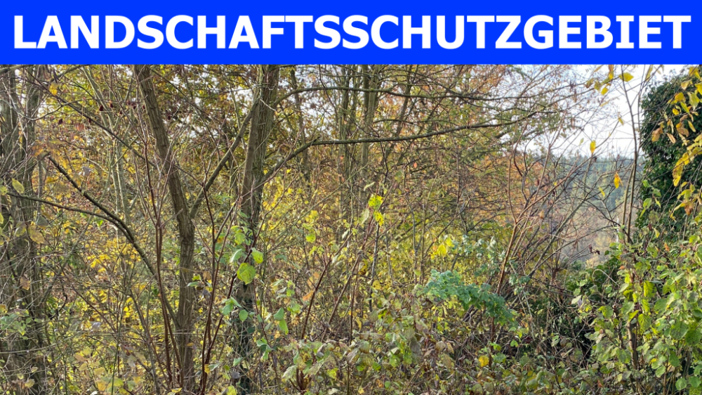 Thumbnail-Grundstück zu verkaufen in Fürth 232.500,00 € 3099 m²