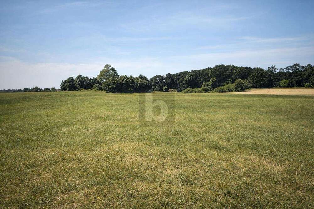 Thumbnail-Grundstück zu verkaufen in Dreschvitz 62.000,00 € 44096 m²