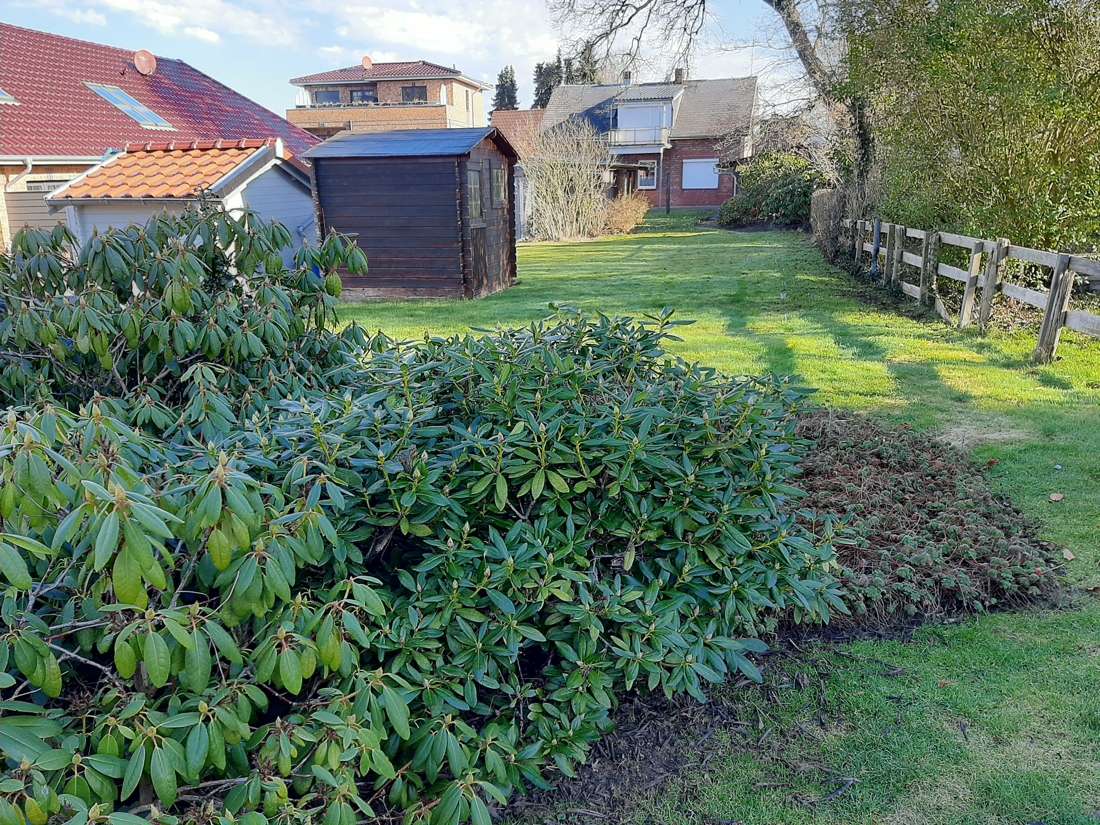 Thumbnail-Haus zum Kaufen in Burg (Dithmarschen) 169.000,00 € 120.67 m²