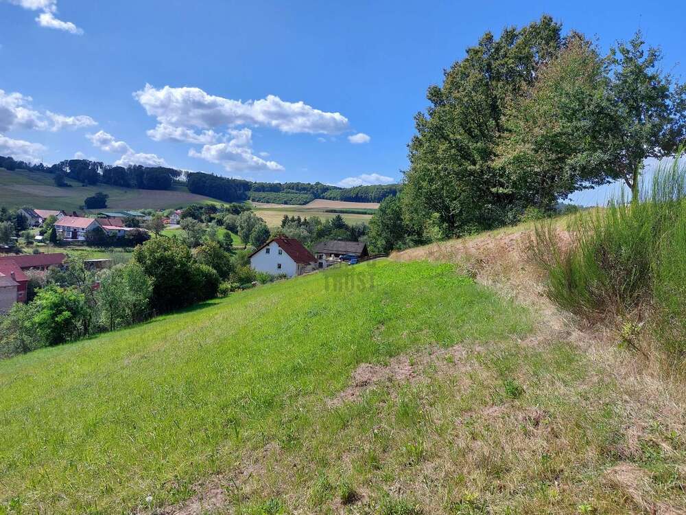 Thumbnail-Grundstück zu verkaufen in Kirchheim 50.000,00 € 2500 m²