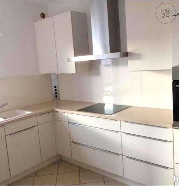 Thumbnail-Wohnung zum Mieten in Dillingen 950,00 € 115 m²