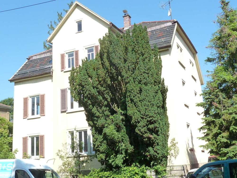 Thumbnail-Wohnung zum Mieten in Reutlingen 290,00 € 23 m²