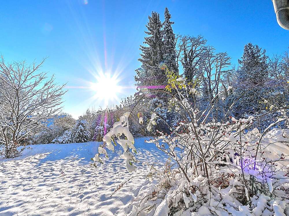 Thumbnail-Grundstück zu verkaufen in Planegg 2.950.000,00 € 1305 m²