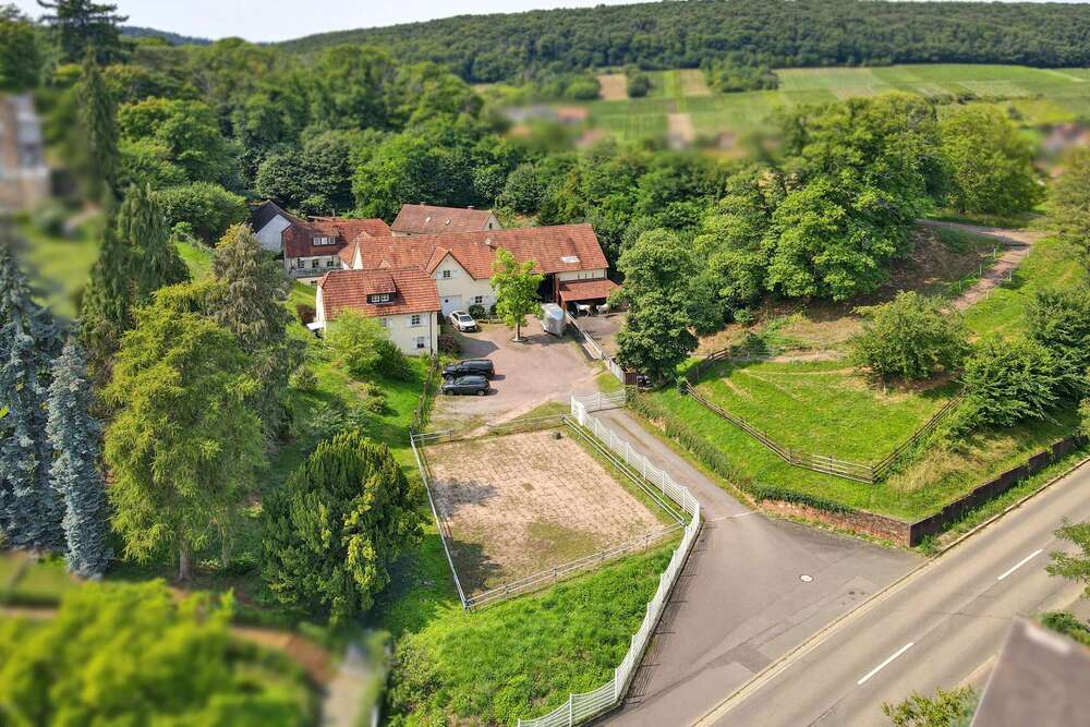 Thumbnail-Haus zum Kaufen in Bad Bergzabern 2.350.000,00 € 560 m²