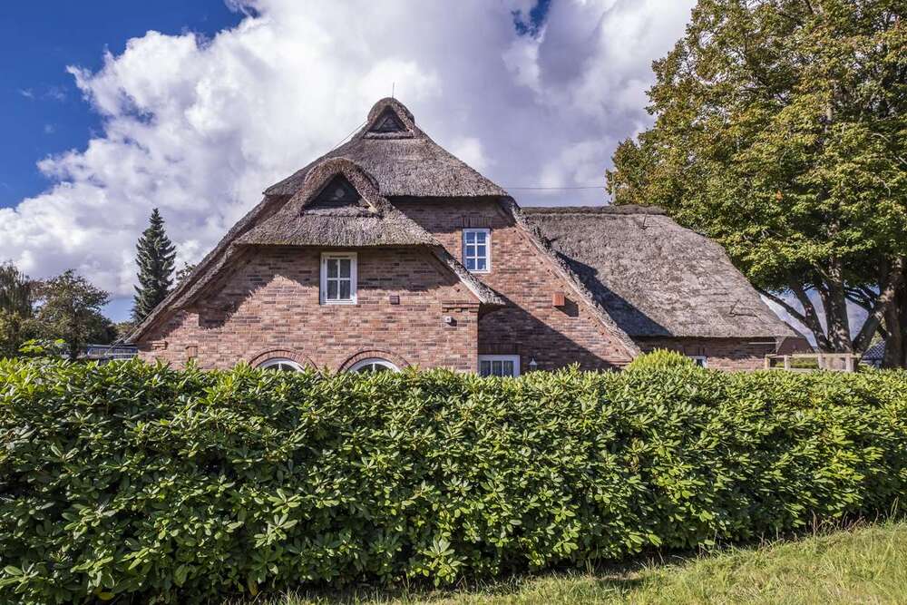 Thumbnail-Haus zum Kaufen in Fahrdorf 595.000,00 € 280 m²