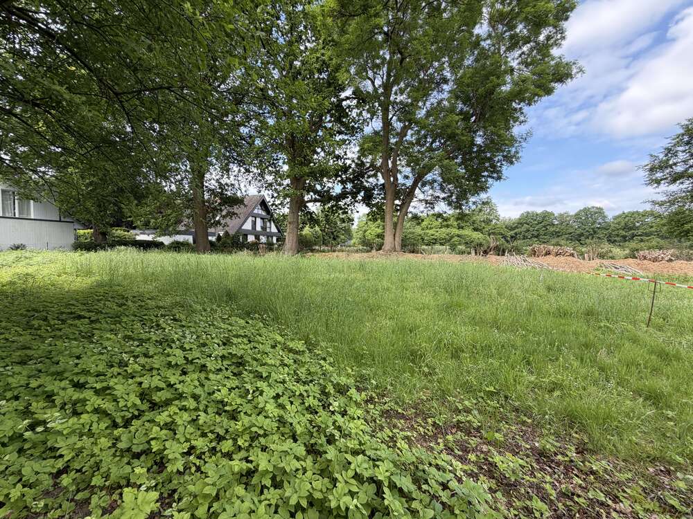 Thumbnail-Grundstück zu verkaufen in Hamburg 335.000,00 € 617 m²