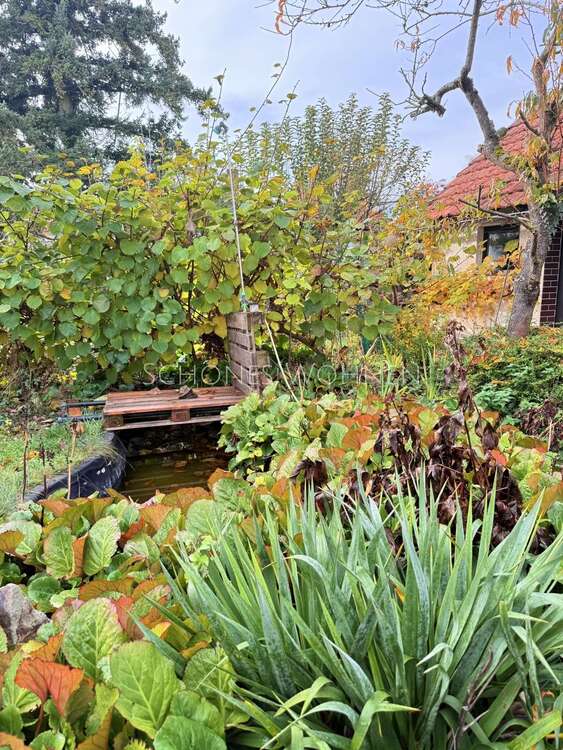 Thumbnail-Haus zum Kaufen in Mainz 315.000,00 € 185 m²