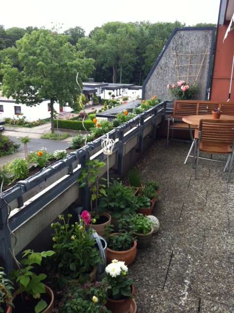 Thumbnail-Wohnung zum Kaufen in Münster 199.000,00 € 50 m²