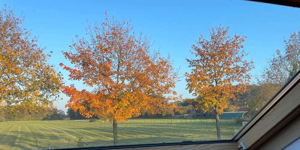 Thumbnail-Wohnung zum Mieten in Münster 1.150,00 € 134 m²