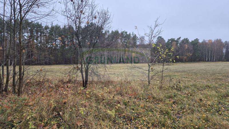 Thumbnail-Grundstück in Banzendorf 160.000,00 € 109880 m²