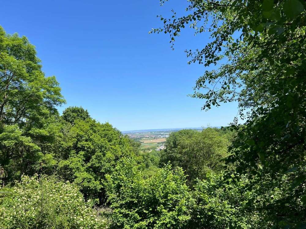 Thumbnail-Grundstück zu verkaufen in Leonberg 1.395.000,00 € 1790 m²