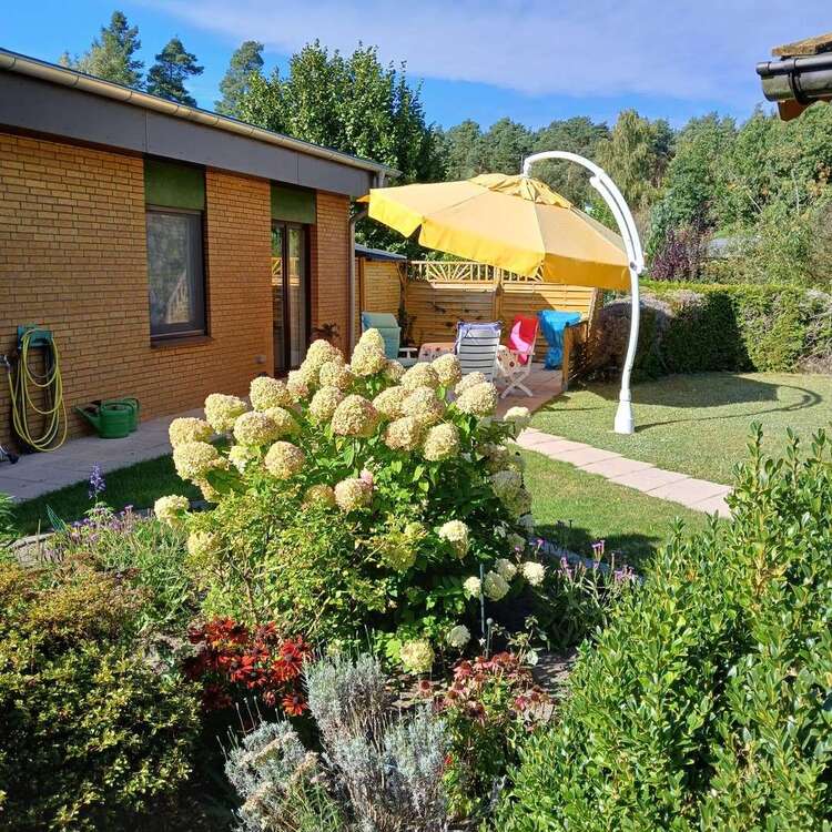 Thumbnail-Haus zum Kaufen in Zernien 266.000,00 € 95.84 m²