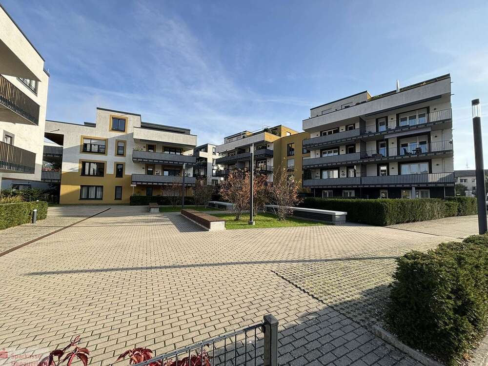 Thumbnail-Wohnung zum Kaufen in Kehl 510.000,00 € 133 m²