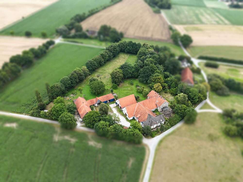 Thumbnail-Haus zum Kaufen in Borgholzhausen 986.000,00 € 860.67 m²
