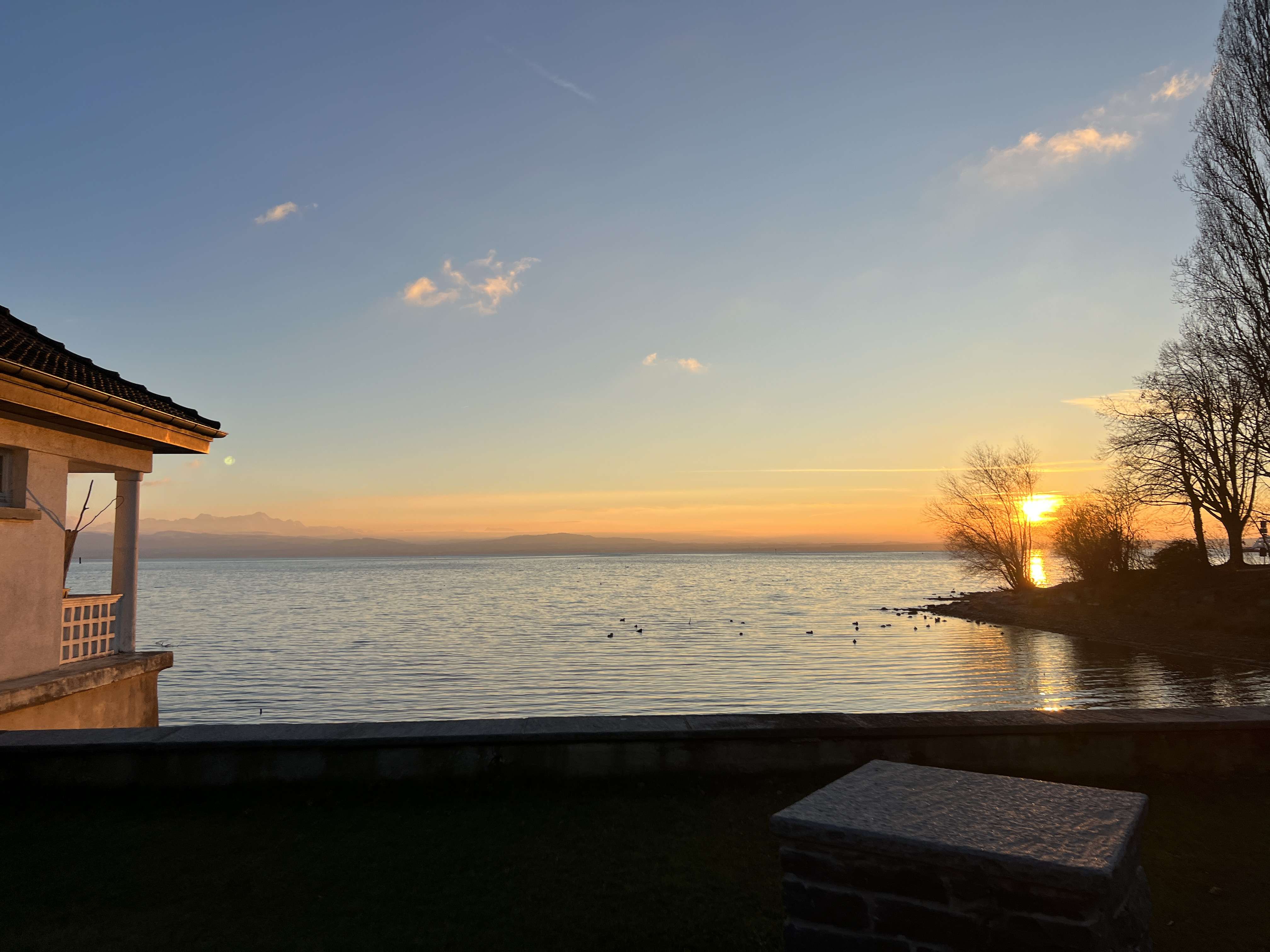 Thumbnail-Wohnung zum Kaufen in Friedrichshafen 1.495.000,00 € 122 m²