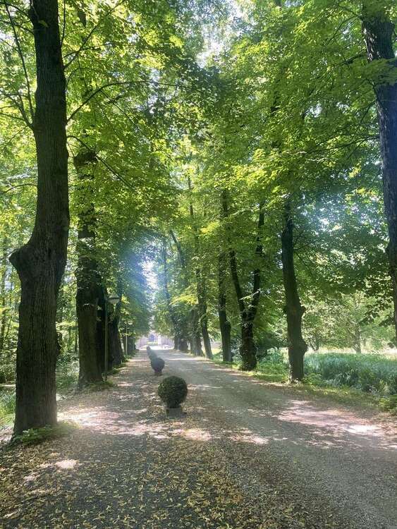 Thumbnail-Wohnung zum Kaufen in Bergheim 209.000,00 € 60 m²