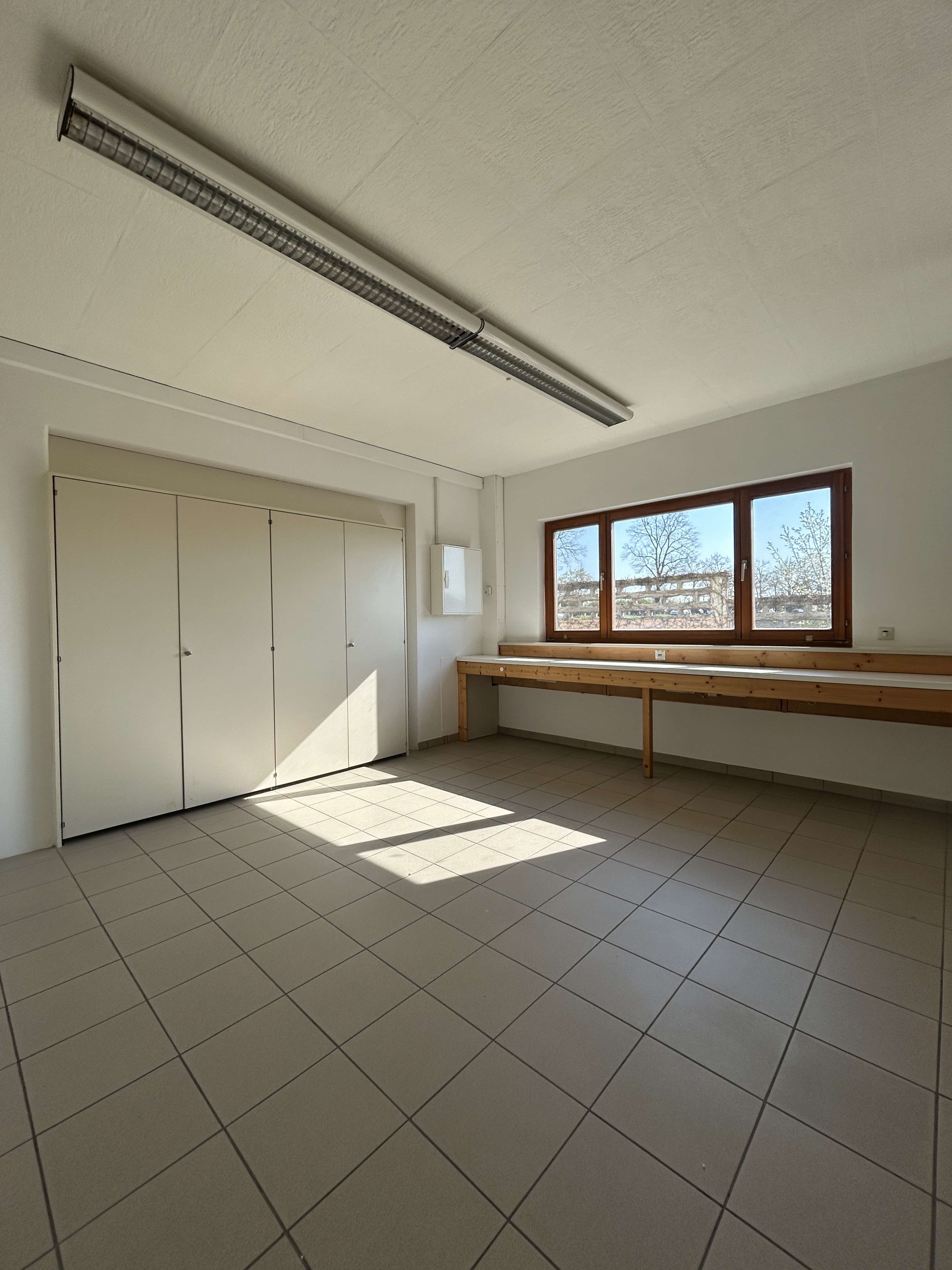 Thumbnail-Büro in Lampertheim 1.455,40 € 223.91 m²