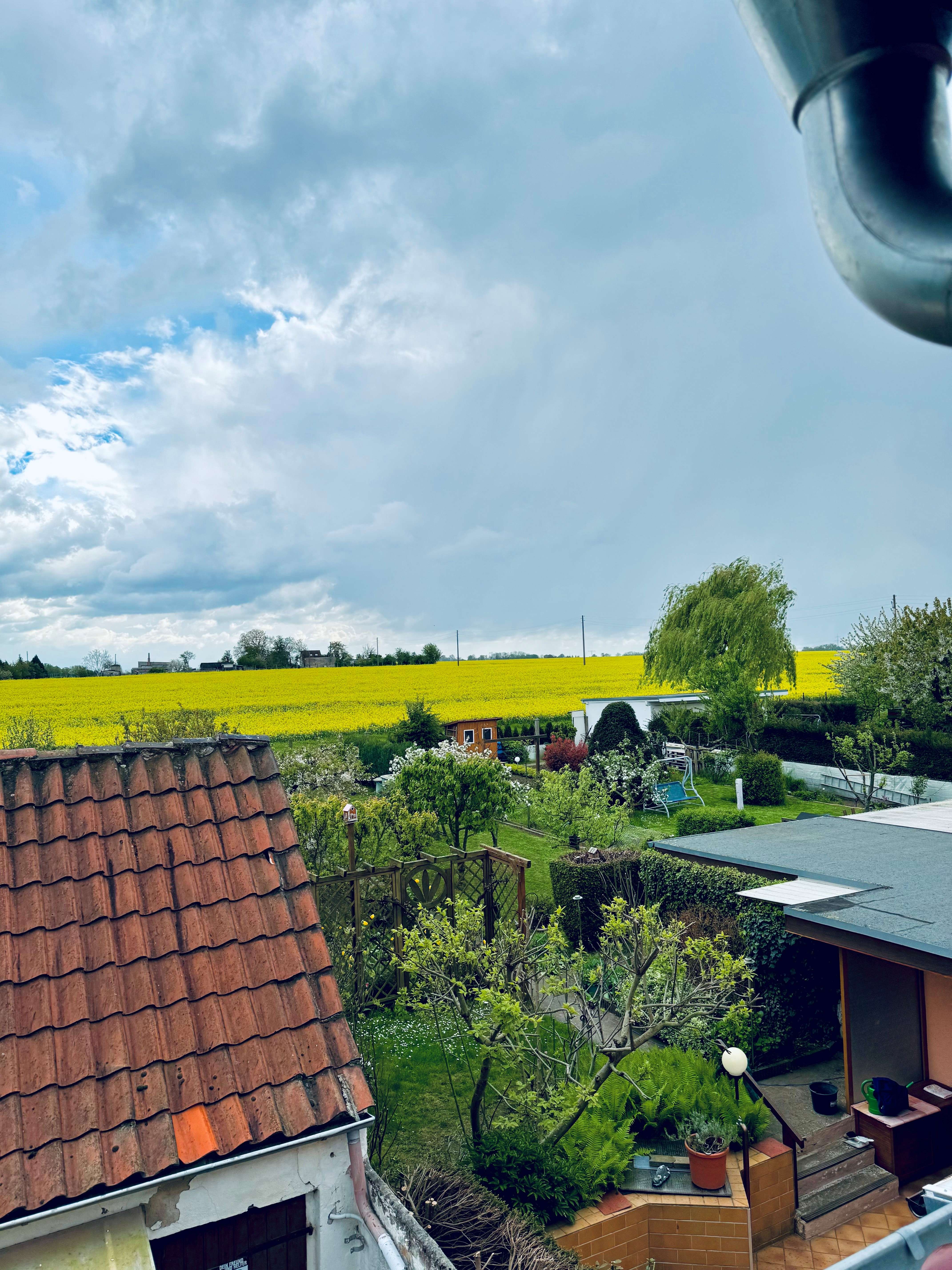 Thumbnail-Haus zum Kaufen in Magdeburg 190.000,00 € 120 m²