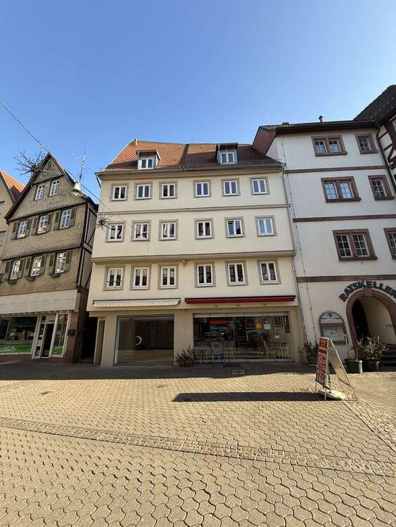 Thumbnail-Haus zum Kaufen in Mosbach 950.000,00 € 302 m²