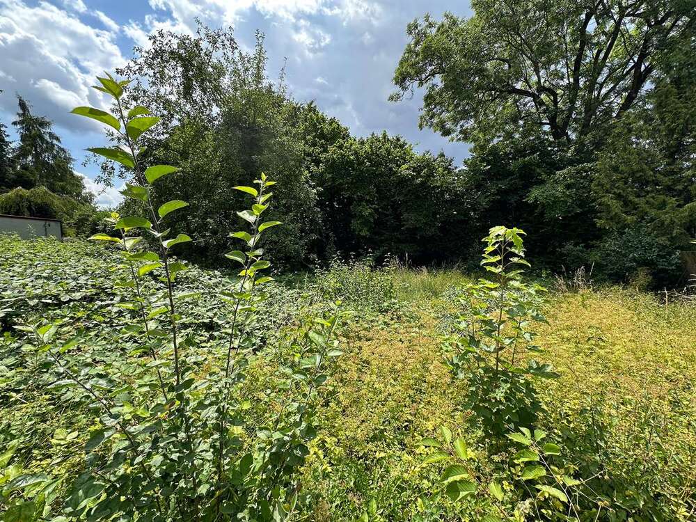 Thumbnail-Grundstück zu verkaufen in Augsburg 780.000,00 € 1216 m²