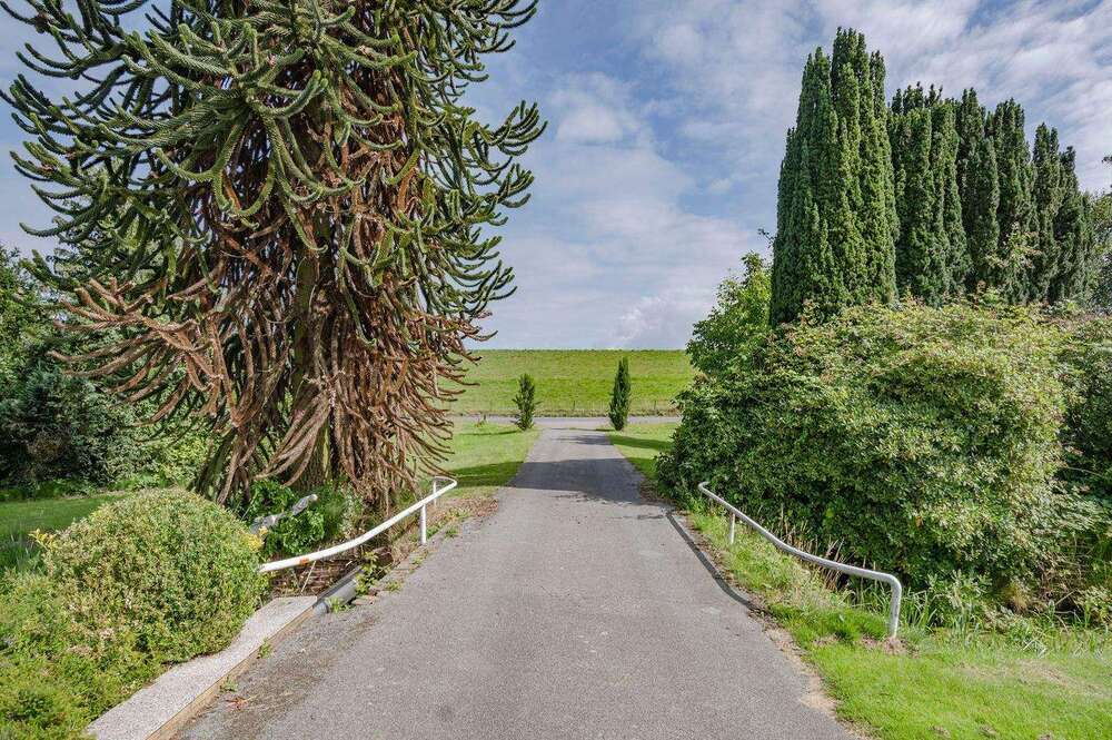 Thumbnail-Grundstück zu verkaufen in Grünendeich 1.650.000,00 € 10913 m²