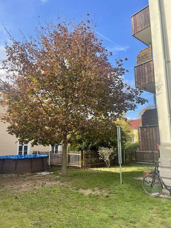 Thumbnail-Wohnung zum Mieten in Radebeul 410,00 € 47.44 m²