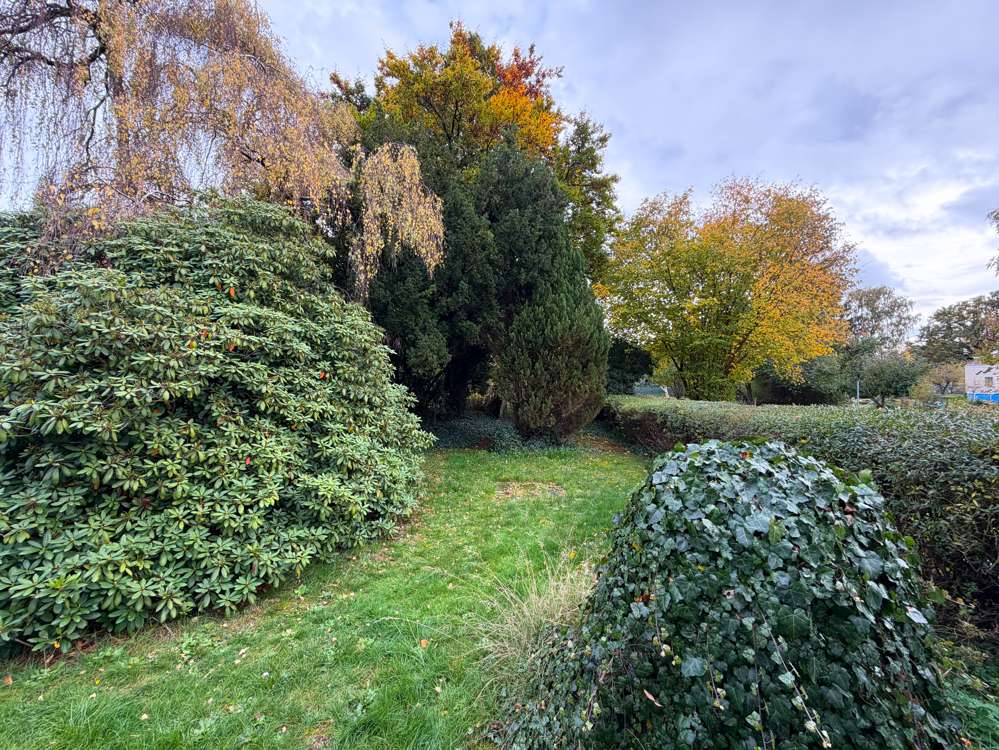 Thumbnail-Grundstück zu verkaufen in Neustadt bei Coburg Wildenheid 94.000,00 € 717 m²