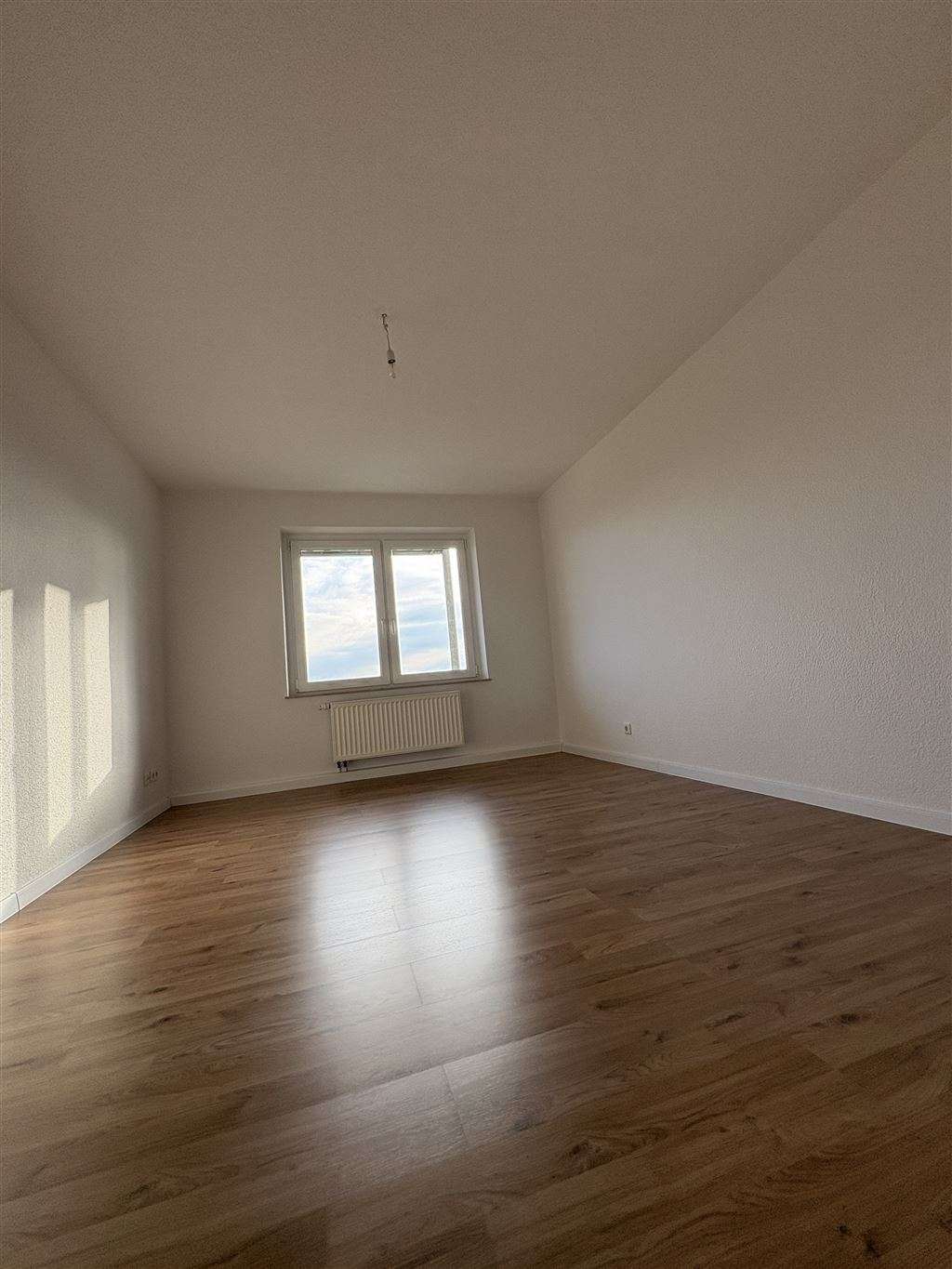 Thumbnail-Wohnung zum Mieten in Plauen 390,00 € 64.5 m²