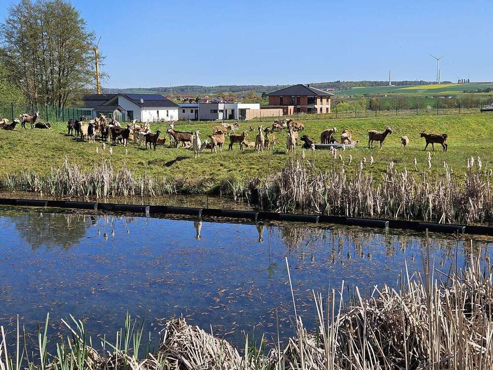 Thumbnail-Grundstück zu verkaufen in Hofgeismar 124.000,00 € 496 m²