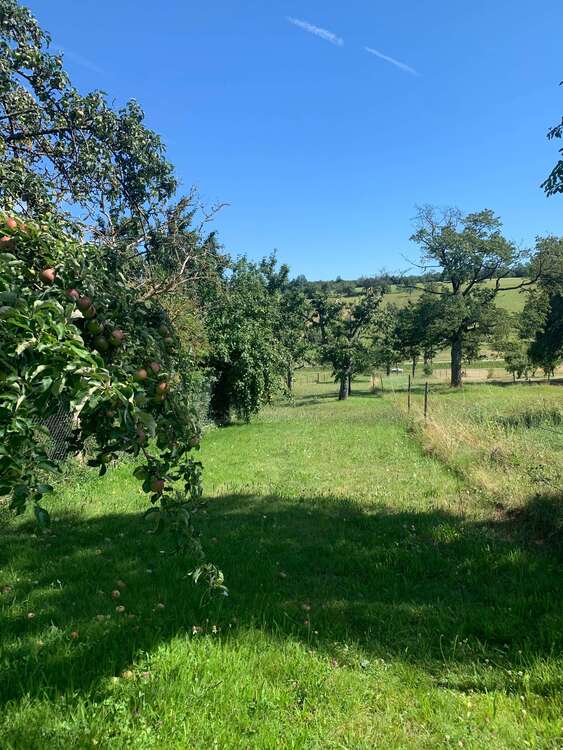 Thumbnail-Haus zum Kaufen in Marxzell 559.000,00 € 250 m²