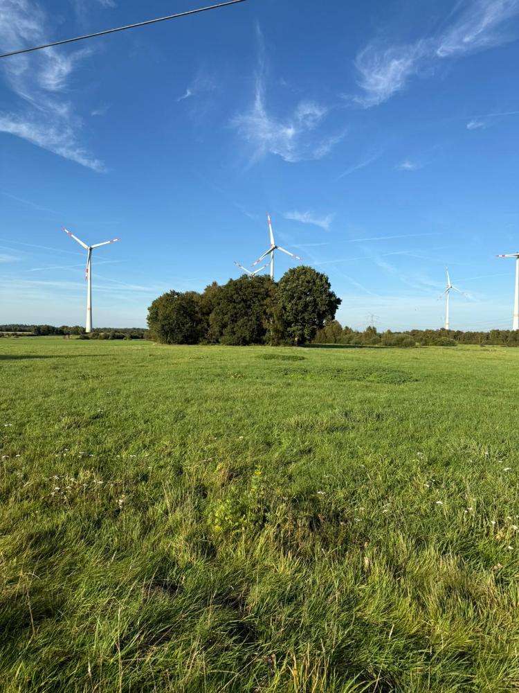 Thumbnail-Grundstück in Bramstedt 14.500,00 € 16403 m²