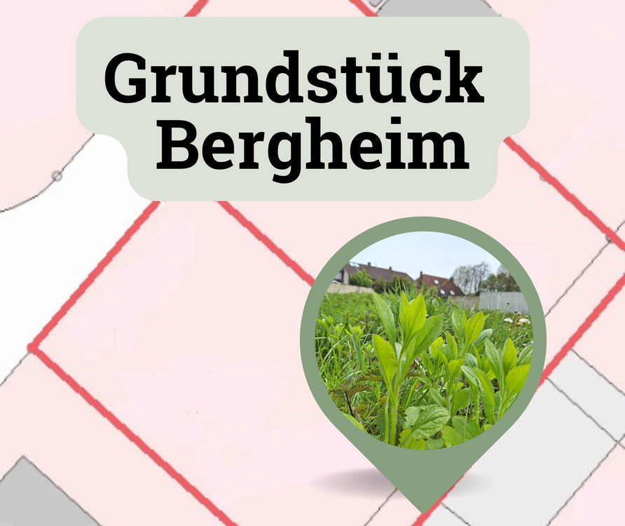 Thumbnail-Grundstück zu verkaufen in Bergheim 95.500,00 € 281 m²