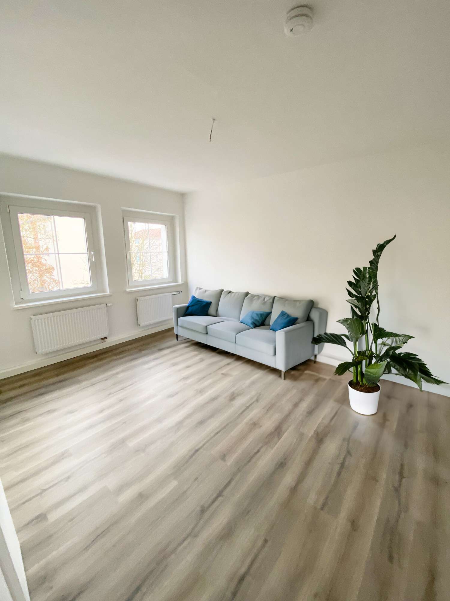 Thumbnail-Wohnung zum Mieten in Ronneburg 300,00 € 48 m²