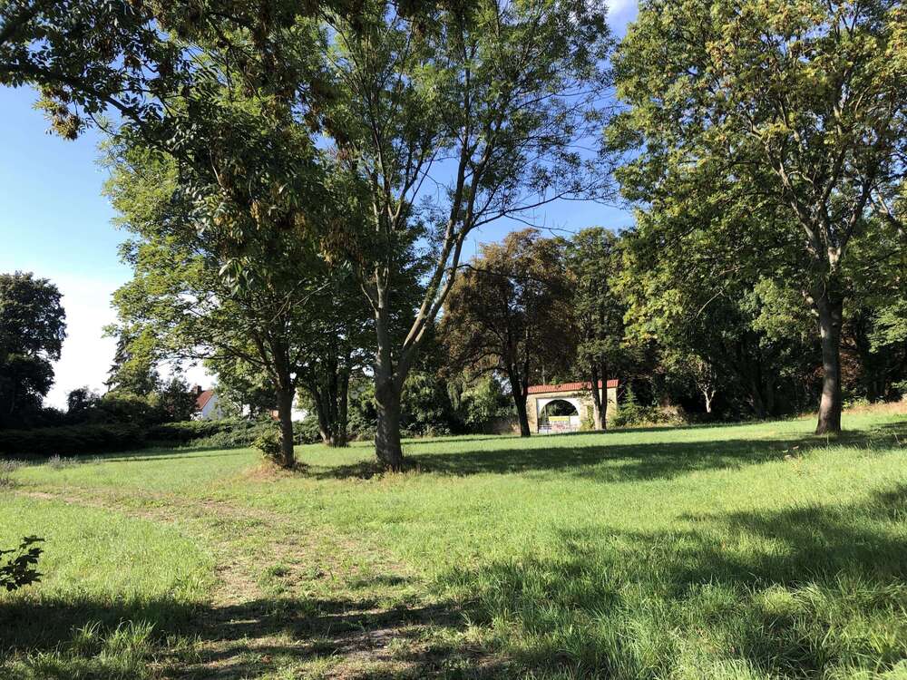 Thumbnail-Grundstück zu verkaufen in Elsteraue 142.100,00 € 980 m²